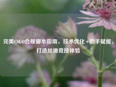 完美CSGO合规脚本指南，技术优化+助手赋能，打造丝滑竞技体验
