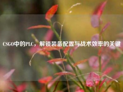 CSGO中的PLC，解锁装备配置与战术效率的关键