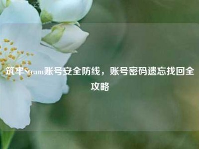 筑牢Steam账号安全防线，账号密码遗忘找回全攻略