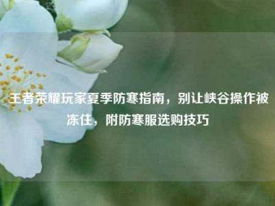 王者荣耀玩家夏季防寒指南，别让峡谷操作被冻住，附防寒服选购技巧