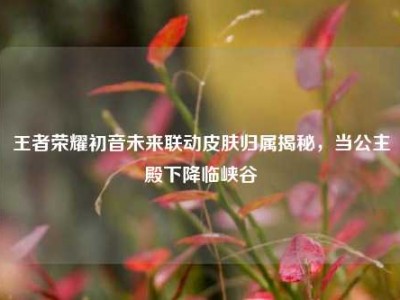 王者荣耀初音未来联动皮肤归属揭秘，当公主殿下降临峡谷