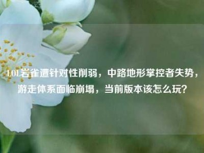 LOL岩雀遭针对性削弱，中路地形掌控者失势，游走体系面临崩塌，当前版本该怎么玩？
