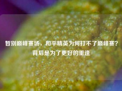 暂别巅峰赛场，和平精英为何打不了巅峰赛？背后是为了更好的重逢