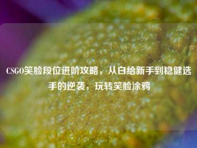 CSGO笑脸段位进阶攻略，从白给新手到稳健选手的逆袭，玩转笑脸涂鸦