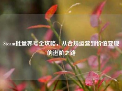 Steam批量养号全攻略，从合规运营到价值变现的进阶之路