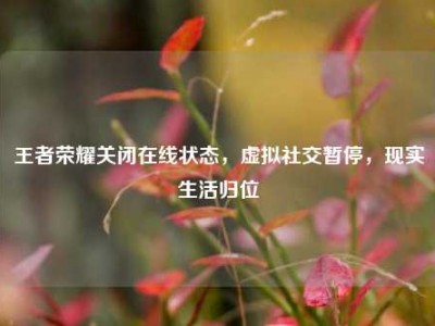 王者荣耀关闭在线状态，虚拟社交暂停，现实生活归位