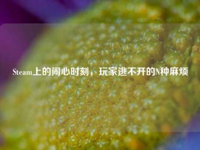 Steam上的闹心时刻，玩家逃不开的N种麻烦