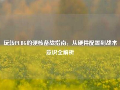 玩转PUBG的硬核备战指南，从硬件配置到战术意识全解析