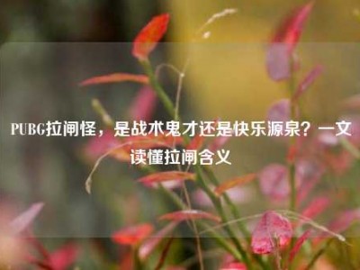 PUBG拉闸怪，是战术鬼才还是快乐源泉？一文读懂拉闸含义