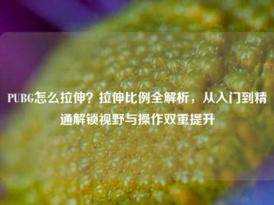 PUBG怎么拉伸？拉伸比例全解析，从入门到精通解锁视野与操作双重提升