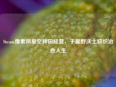 Steam像素风星空种田经营，于星野沃土耕织治愈人生