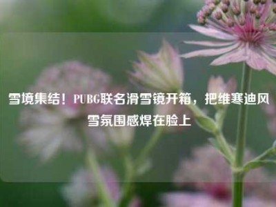 雪境集结！PUBG联名滑雪镜开箱，把维寒迪风雪氛围感焊在脸上