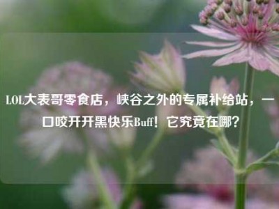 LOL大表哥零食店，峡谷之外的专属补给站，一口咬开开黑快乐Buff！它究竟在哪？