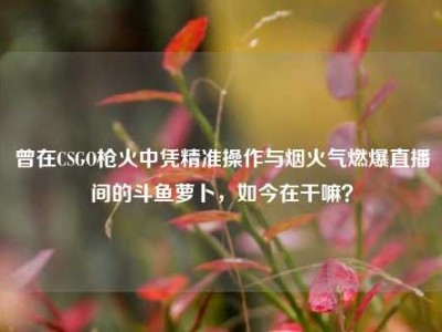 曾在CSGO枪火中凭精准操作与烟火气燃爆直播间的斗鱼萝卜，如今在干嘛？