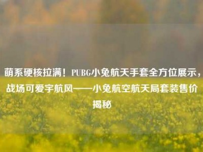 萌系硬核拉满！PUBG小兔航天手套全方位展示，战场可爱宇航风——小兔航空航天局套装售价揭秘