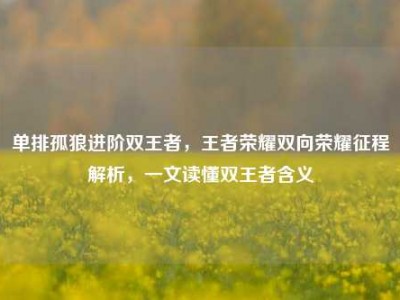 单排孤狼进阶双王者，王者荣耀双向荣耀征程解析，一文读懂双王者含义
