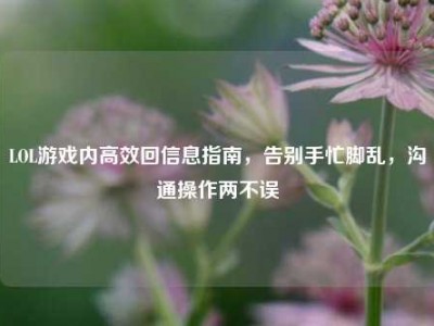 LOL游戏内高效回信息指南，告别手忙脚乱，沟通操作两不误