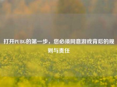 打开PUBG的第一步，您必须同意游戏背后的规则与责任