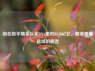 刻在和平精英玩家DNA里的BGM记忆，藏着独属战场的诺言