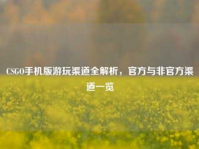 CSGO手机版游玩渠道全解析，官方与非官方渠道一览