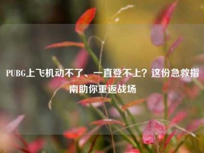PUBG上飞机动不了、一直登不上？这份急救指南助你重返战场