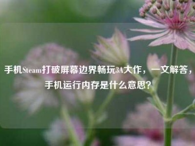 手机Steam打破屏幕边界畅玩3A大作，一文解答，手机运行内存是什么意思？