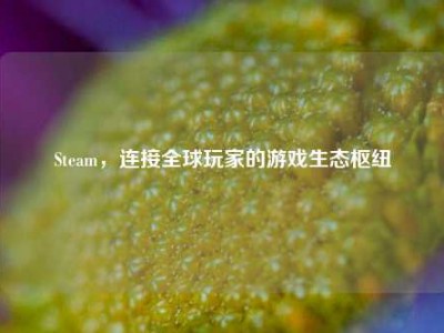 Steam，连接全球玩家的游戏生态枢纽