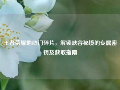 王者荣耀地心门碎片，解锁峡谷秘境的专属密钥及获取指南