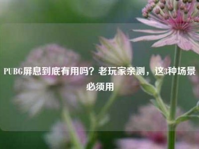 PUBG屏息到底有用吗？老玩家亲测，这3种场景必须用