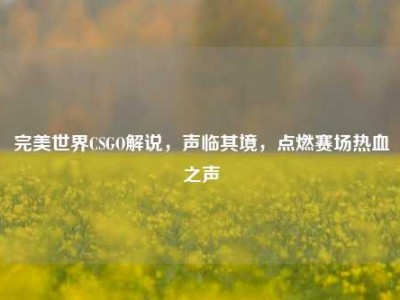 完美世界CSGO解说，声临其境，点燃赛场热血之声