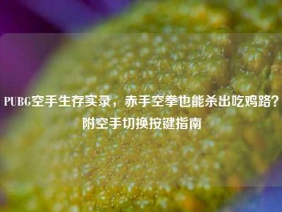 PUBG空手生存实录，赤手空拳也能杀出吃鸡路？附空手切换按键指南