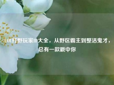LOL打野玩家ID大全，从野区霸主到整活鬼才，总有一款戳中你