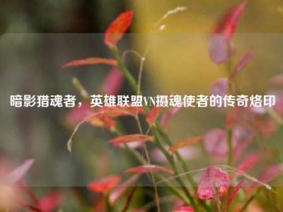 暗影猎魂者，英雄联盟VN摄魂使者的传奇烙印