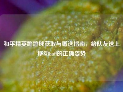 和平精英蹦蹦球获取与赠送指南，给队友送上移动buff的正确姿势