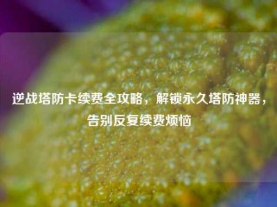 逆战塔防卡续费全攻略，解锁永久塔防神器，告别反复续费烦恼