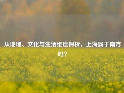 从地理、文化与生活维度探析，上海属于南方吗？
