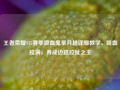 王者荣耀S35赛季吸血鬼芈月超详细教学，吸血拉满，养成边路拉扯之王