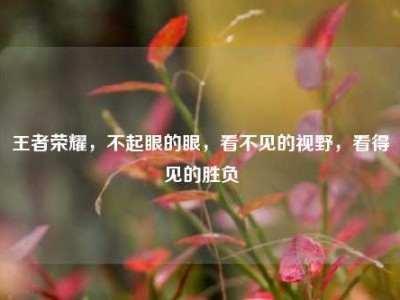 王者荣耀，不起眼的眼，看不见的视野，看得见的胜负