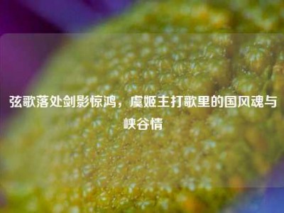 弦歌落处剑影惊鸿，虞姬主打歌里的国风魂与峡谷情