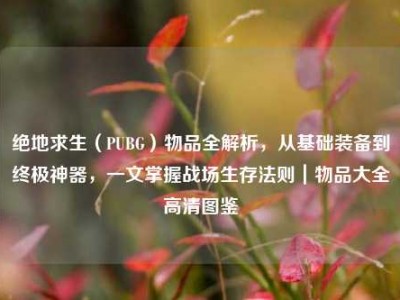 绝地求生（PUBG）物品全解析，从基础装备到终极神器，一文掌握战场生存法则｜物品大全高清图鉴