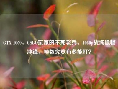 GTX 1060，CSGO玩家的不死老兵，1080p战场稳帧冲锋，帧数究竟有多能打？