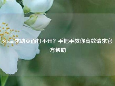 Steam求助页面打不开？手把手教你高效请求官方帮助