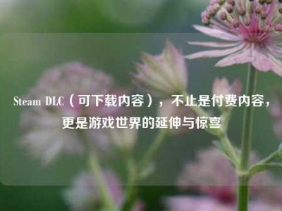 Steam DLC（可下载内容），不止是付费内容，更是游戏世界的延伸与惊喜