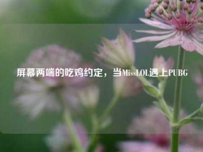 屏幕两端的吃鸡约定，当MissLOL遇上PUBG