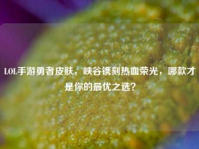 LOL手游勇者皮肤，峡谷镌刻热血荣光，哪款才是你的最优之选？