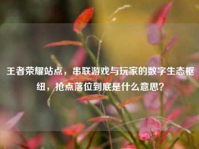 王者荣耀站点，串联游戏与玩家的数字生态枢纽，抢点落位到底是什么意思？