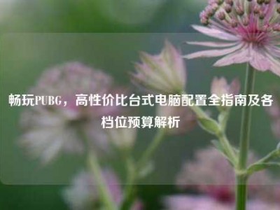 畅玩PUBG，高性价比台式电脑配置全指南及各档位预算解析