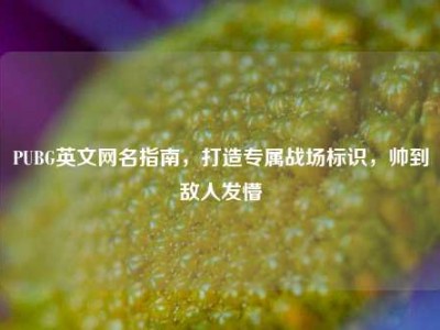 PUBG英文网名指南，打造专属战场标识，帅到敌人发懵