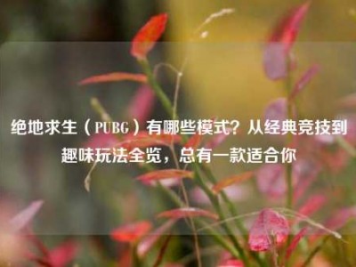 绝地求生（PUBG）有哪些模式？从经典竞技到趣味玩法全览，总有一款适合你