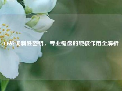 CF战场制胜密钥，专业键盘的硬核作用全解析